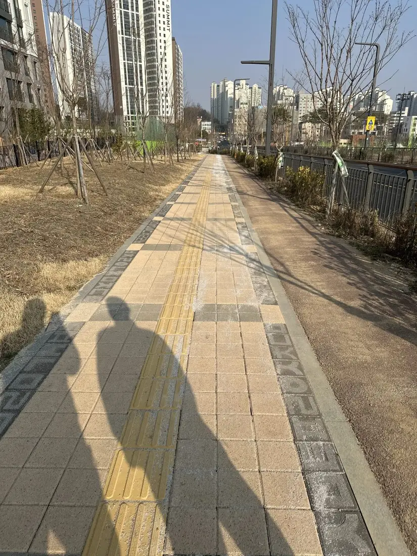 아파트 단지 앞 보도블럭 교체 시공 후
